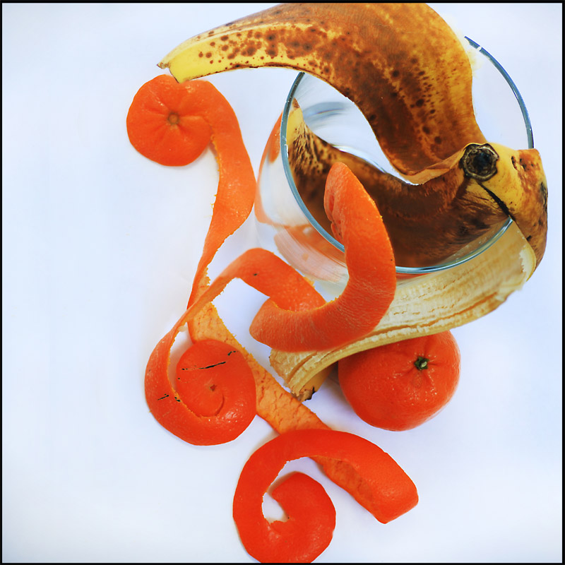 Illustration for article titled 59 Fiercely Focus Stacked Photos